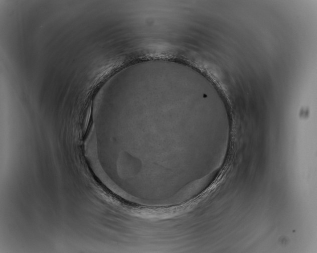 X0000098070017200804041136