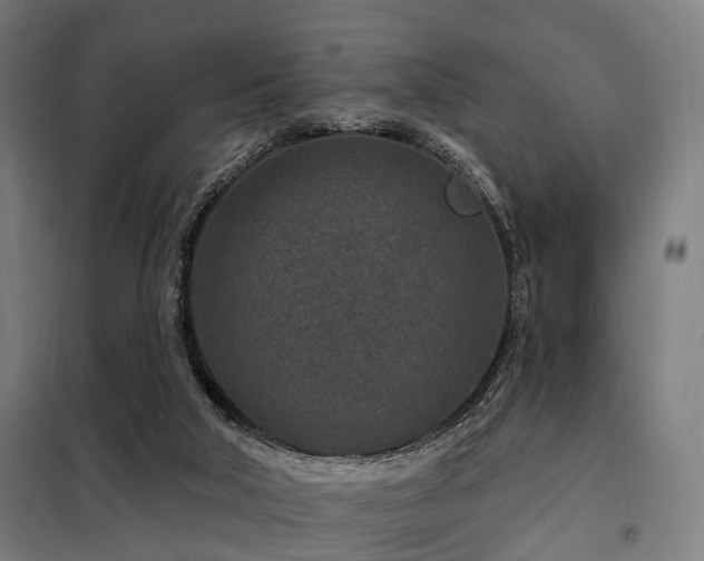 X0000098070018200804041136