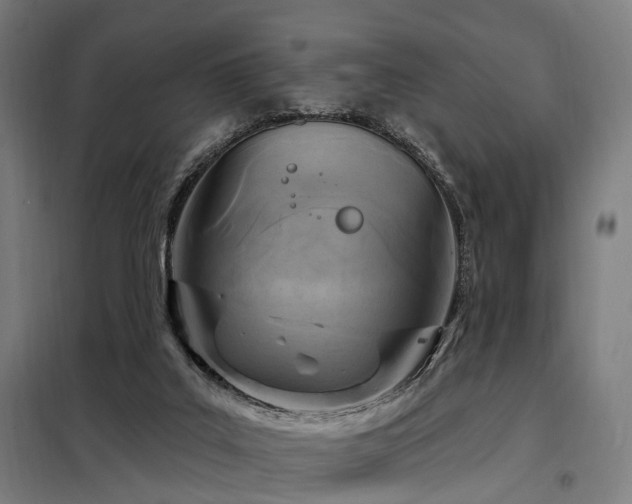 X0000098070019200804041136