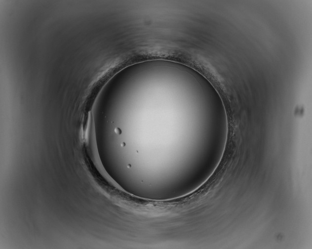 X0000098070020200804041136