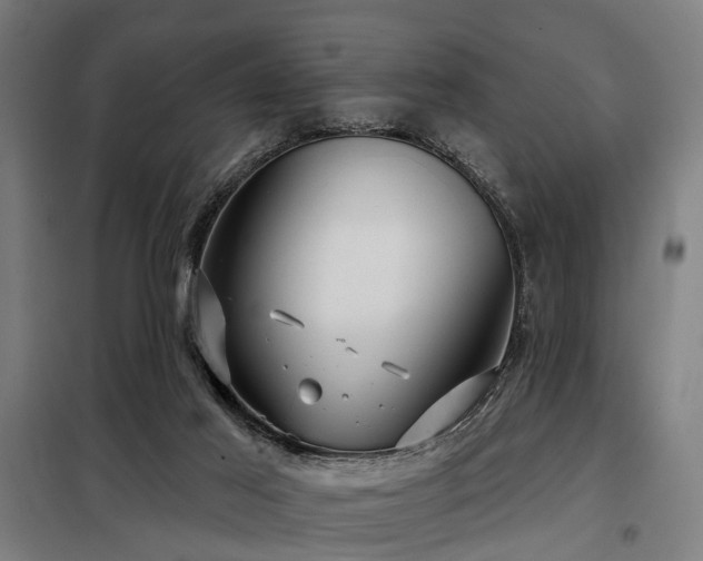 X0000098070021200804041136