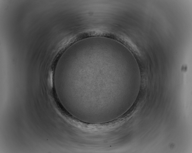 X0000098070022200804041136