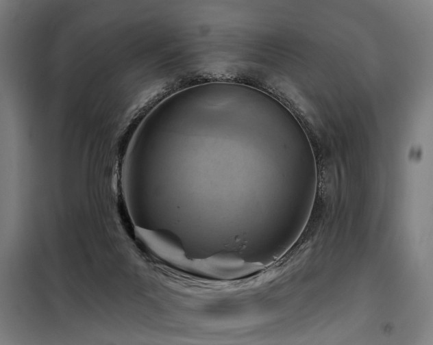 X0000098070023200804041136