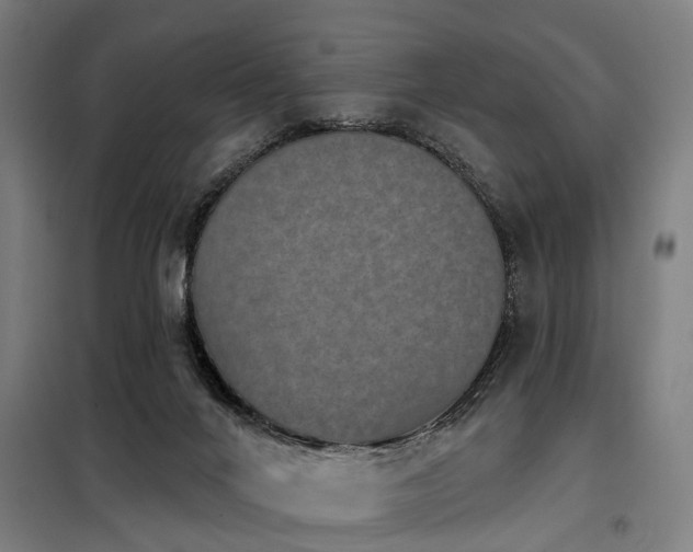 X0000098070024200804041136