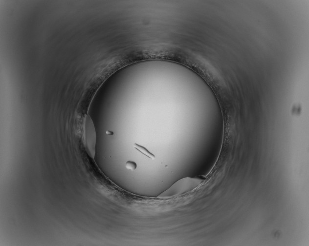 X0000098070025200804041136