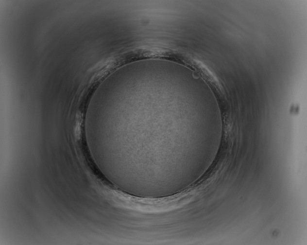 X0000098070026200804041136