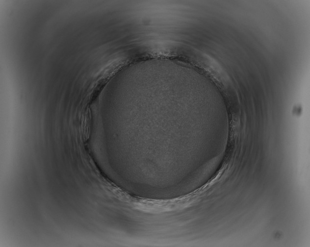 X0000098070029200804041135