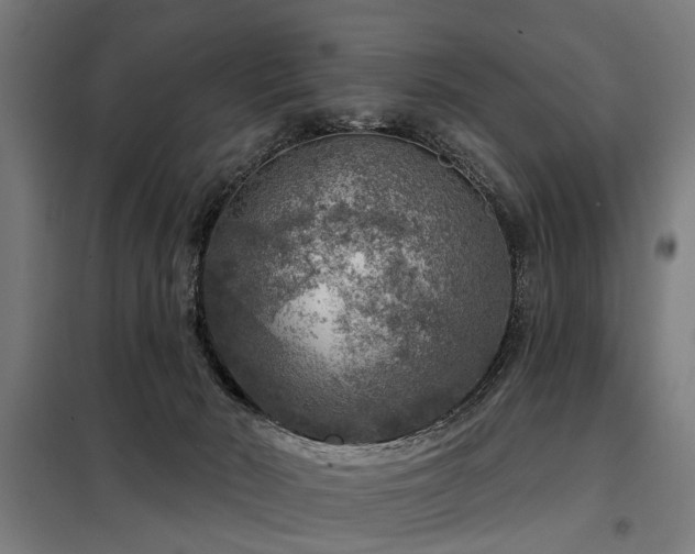 X0000098070030200804041135