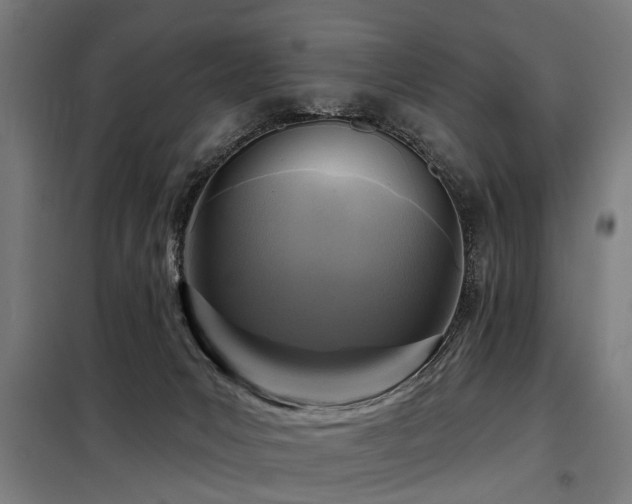 X0000098070031200804041135