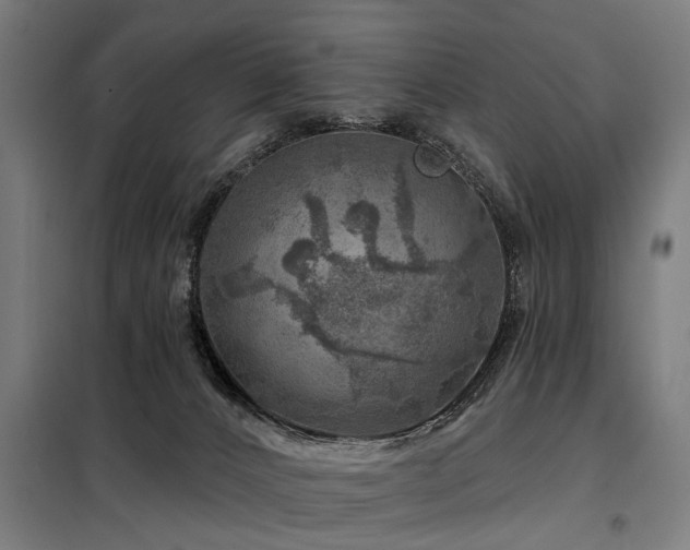 X0000098070032200804041135