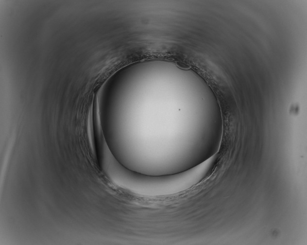 X0000098070033200804041135