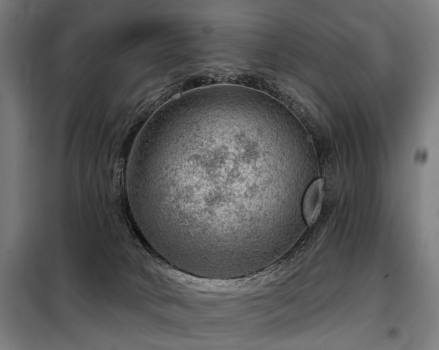 X0000098070034200804041135