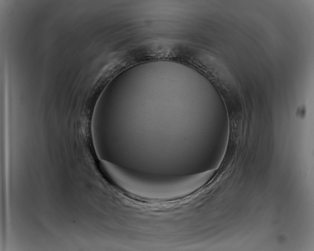 X0000098070035200804041135