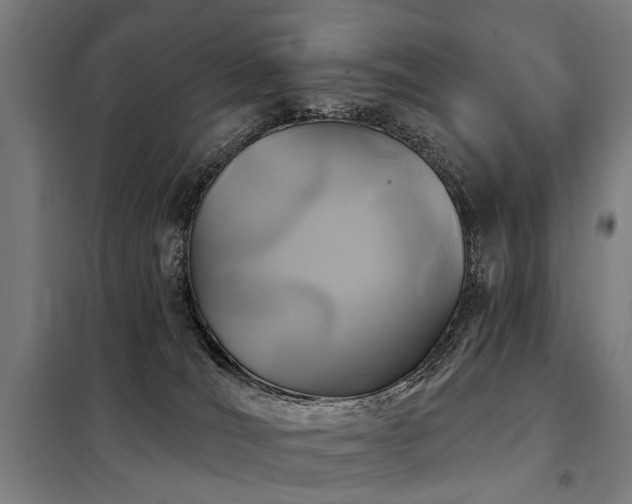 X0000098070036200804041135