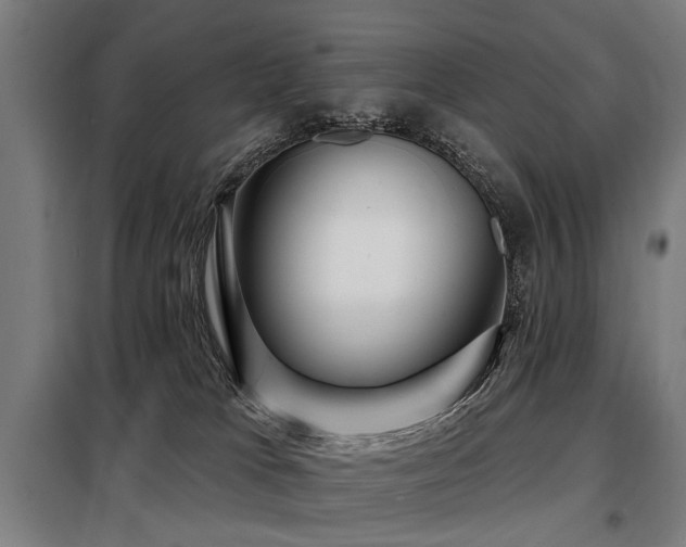 X0000098070037200804041135