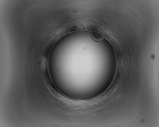 X0000098070038200804041135