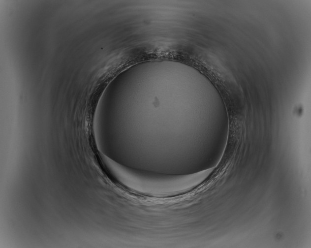 X0000098070039200804041135