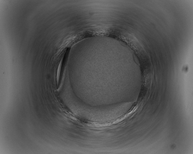 X0000098070041200804041135