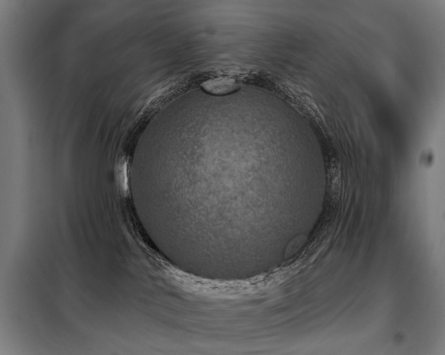 X0000098070042200804041135