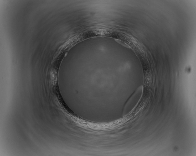 X0000098070043200804041135