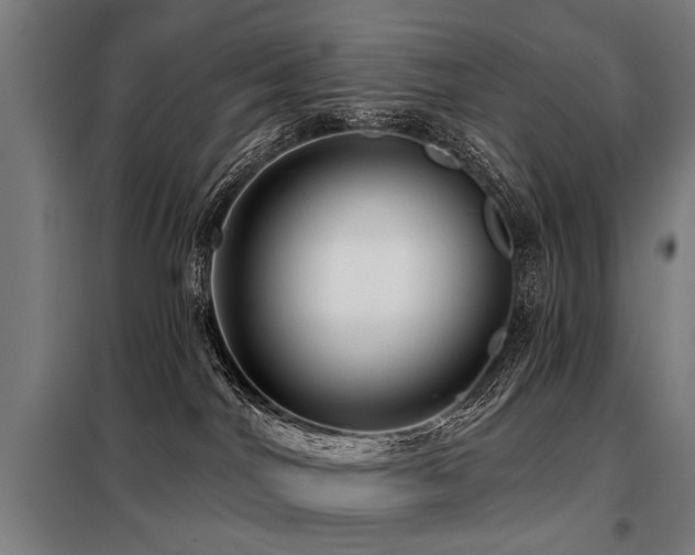 X0000098070044200804041135