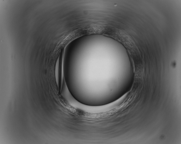 X0000098070045200804041135