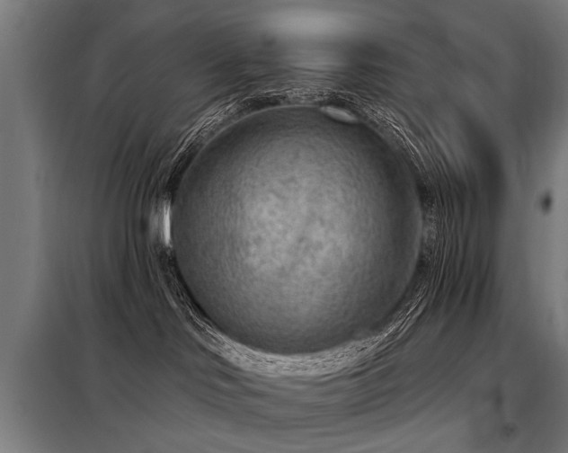 X0000098070046200804041135