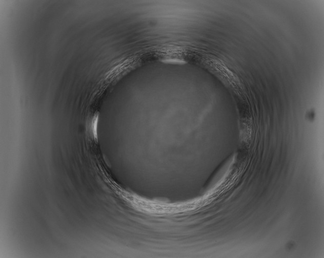 X0000098070047200804041135