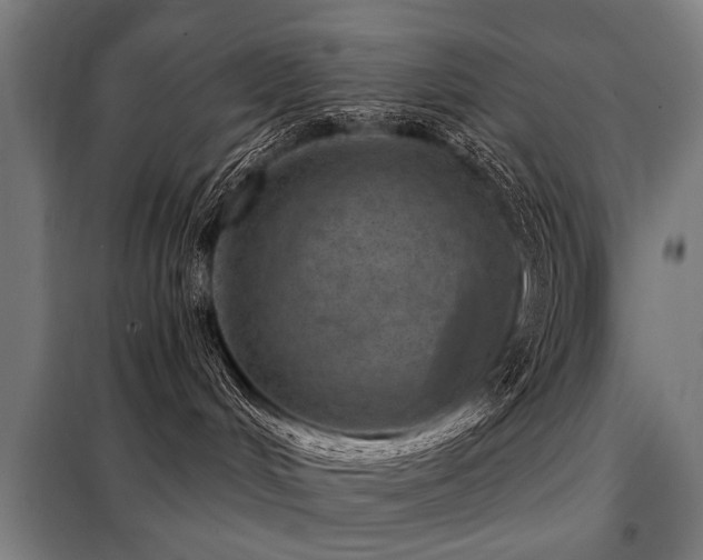 X0000098070048200804041135