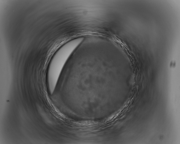 X0000098070049200804041135