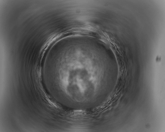 X0000098070050200804041135