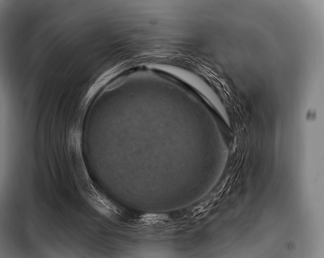 X0000098070051200804041135