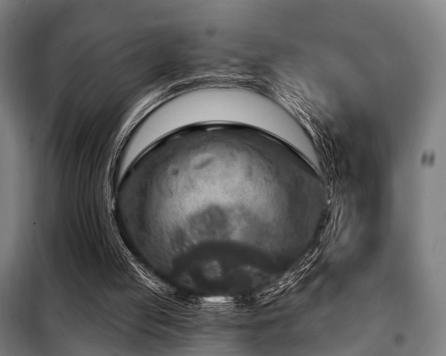 X0000098070053200804041135