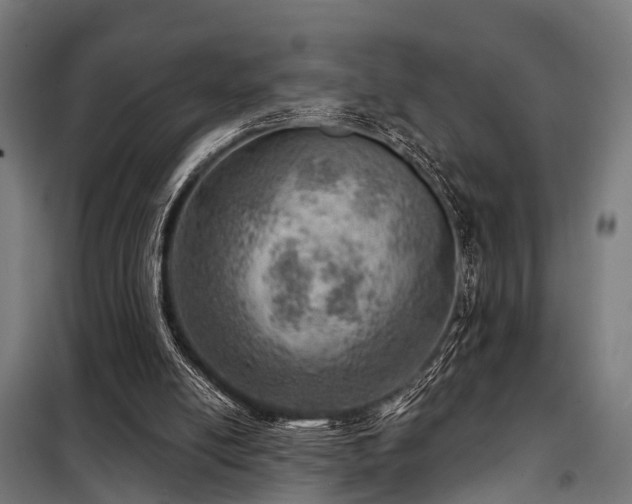 X0000098070054200804041135