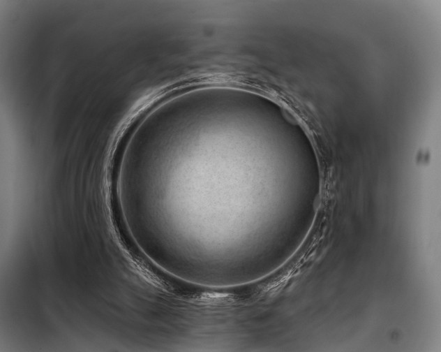 X0000098070055200804041135