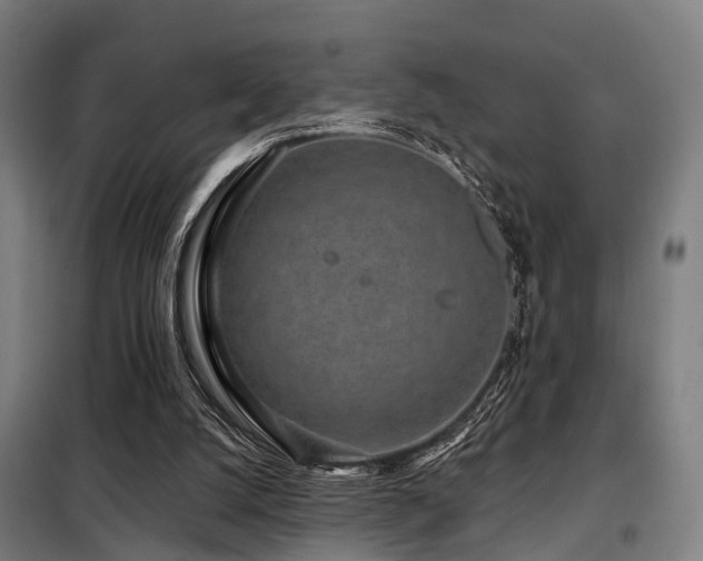 X0000098070056200804041135