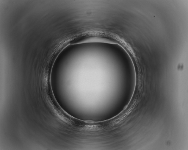 X0000098070057200804041135