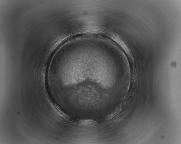 X0000098070058200804041135