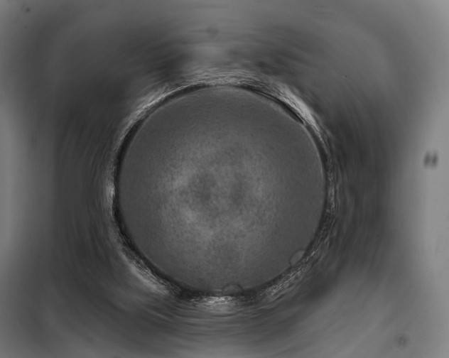 X0000098070059200804041135