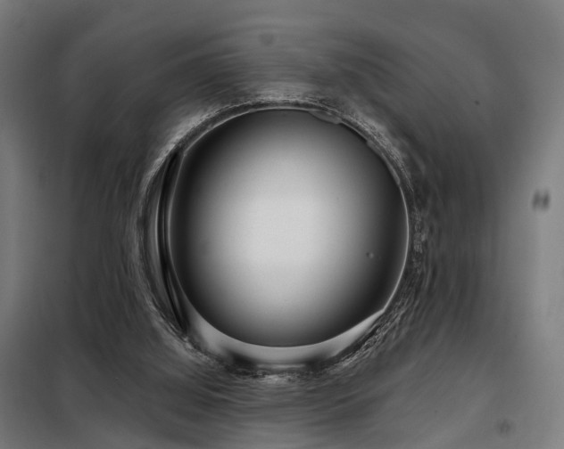 X0000098070060200804041135