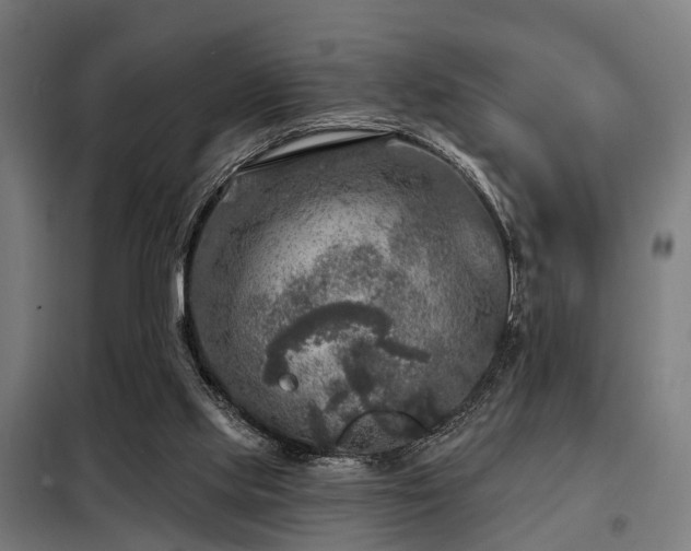 X0000098070061200804041135