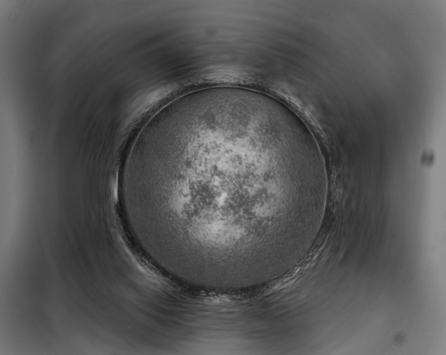 X0000098070062200804041135