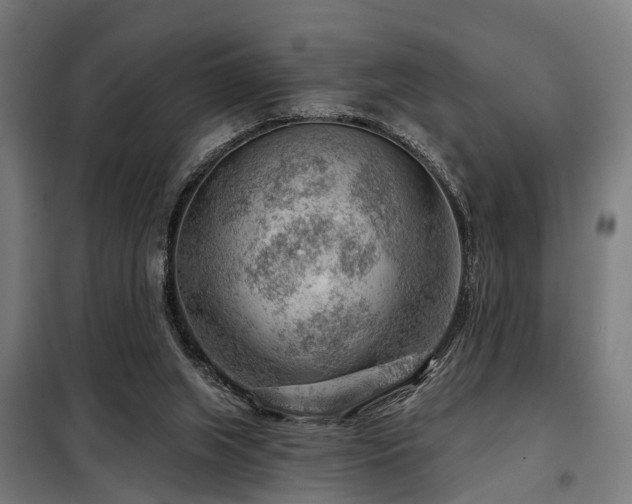 X0000098070063200804041135