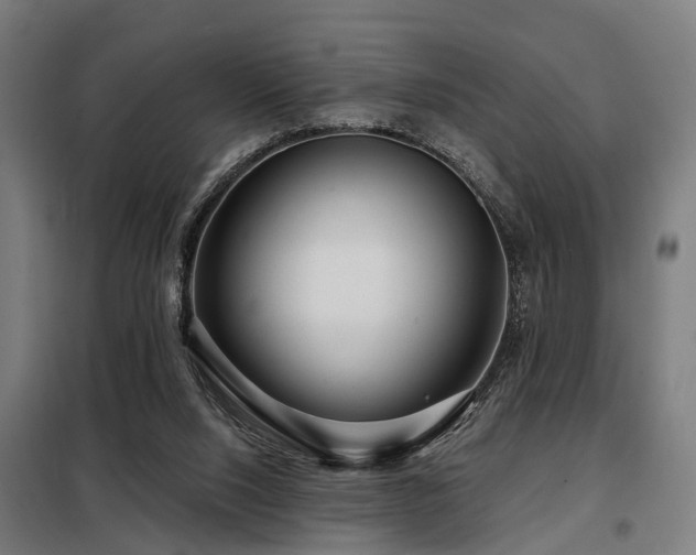 X0000098070064200804041135