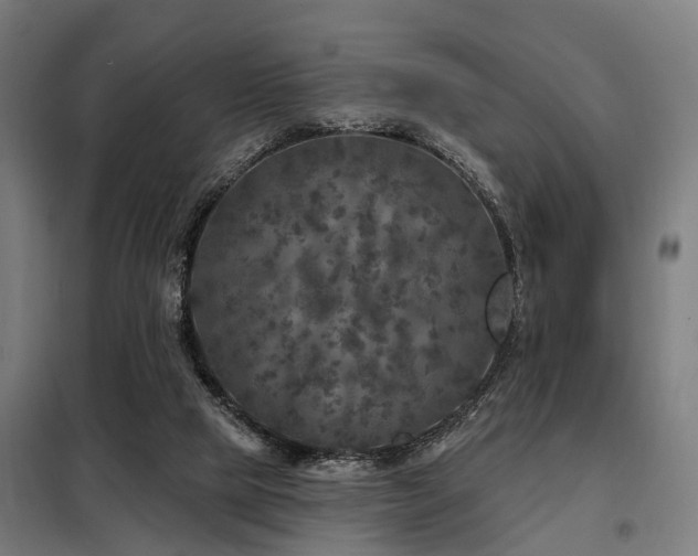 X0000098070065200804041135