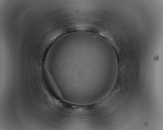 X0000098070066200804041135