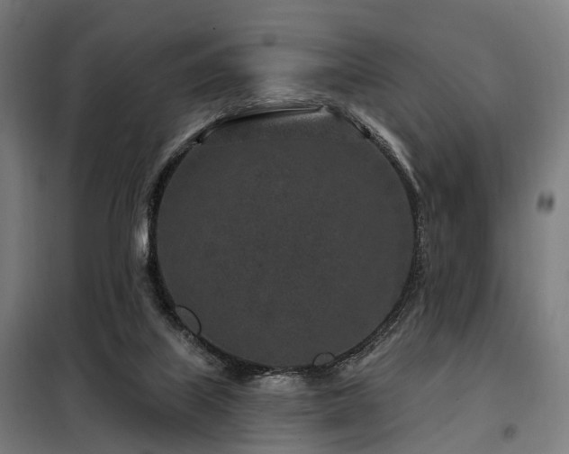 X0000098070067200804041135