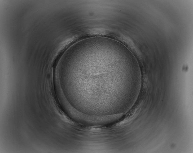 X0000098070068200804041135