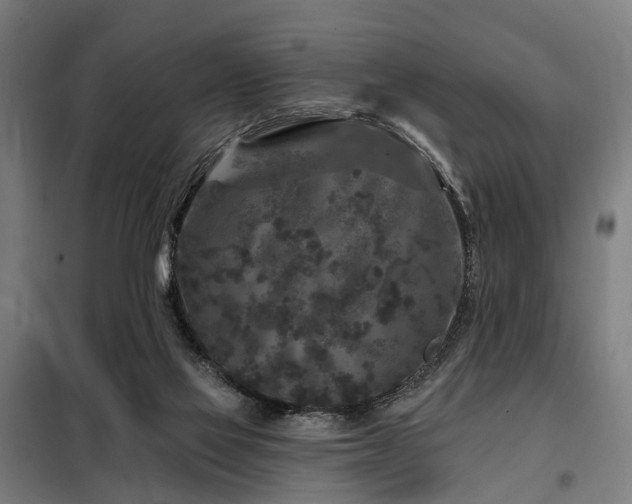 X0000098070069200804041135