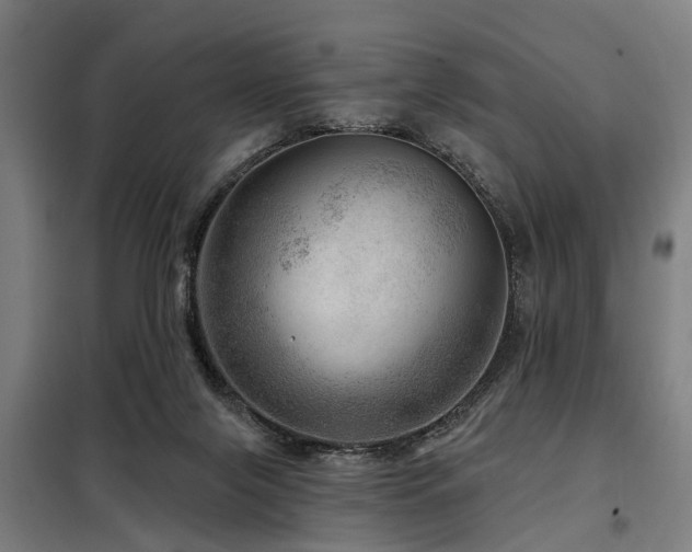 X0000098070071200804041135